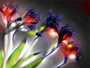 # Positive Aging: One Simple Mindset Shift That May Help You Live Longer

## How Do You Feel About Aging?

Positive aging begins with the way we think about growing older. If you are in your twenties or thirties, aging may not be something you think about very often. However, once people reach their forties, fifties, and beyond, many begin reflecting on important questions about life.

You may find yourself asking:

* Where has my life led me so far?
* Am I living the life I truly want?
* Have I fulfilled my dreams and goals?
* What do I want the next chapter of my life to look like?

These questions are a natural part of personal growth and life transitions.

## Why Mid-Life Transitions Can Feel Challenging

For many people, mid-life brings significant changes.

Children may leave home. Parents may require care and support. Careers may shift. Relationships may evolve or end. Health concerns may become more noticeable.

While these transitions can feel overwhelming, they also provide valuable opportunities for self-discovery and renewal.

Life transition counselling often helps individuals navigate these changes with greater confidence, clarity, and emotional well-being.

## The Power of Your Beliefs About Aging

Many people grow up with messages that portray aging as something negative.

Popular culture often focuses on wrinkles, physical decline, and lost opportunities. As a result, many individuals begin to fear the aging process.

However, research suggests that our beliefs about aging can have a powerful impact on our overall health and longevity.

Our attitudes toward aging are often shaped by childhood experiences, family values, cultural influences, and societal expectations. Over time, these beliefs become part of our internal dialogue.

The good news is that beliefs can change.

## Can Positive Aging Help You Live Longer?

Research conducted by psychologist and Harvard professor Ellen Langer has explored the relationship between mindset and aging.

Studies have suggested that individuals who associate aging with wisdom, growth, experience, and positive opportunities tend to experience better outcomes than those who view aging primarily through a negative lens.

In fact, some research indicates that positive beliefs about aging may contribute to increased longevity and overall well-being.

While we cannot stop the aging process, we can influence how we experience it.

## Focus on What Is Possible

One of the most powerful ways to support positive aging is by consciously choosing where you place your attention.

Many people spend significant energy worrying about what could go wrong.

Instead, consider focusing on:

* What excites you about the future.
* New opportunities for learning and growth.
* Meaningful relationships.
* Activities that bring you joy.
* Ways you can contribute and make a difference.

When you focus on possibility rather than limitation, you create a healthier and more optimistic outlook on life.

## Positive Aging and Emotional Well-Being

Positive aging is not about pretending challenges do not exist.

Rather, it involves recognizing that every stage of life offers unique gifts, lessons, and opportunities.

A positive mindset can improve emotional resilience, reduce stress, and help you navigate life transitions more effectively.

Furthermore, people who maintain a sense of purpose and curiosity often report higher levels of life satisfaction as they age.

## Create the Life You Want to Live

Regardless of your age, it is never too late to create positive changes.

The way you think about aging can influence how you experience the years ahead.

Instead of focusing on loss, focus on growth.

Instead of dwelling on limitations, explore possibilities.

Instead of fearing the future, embrace it with curiosity and hope.

Positive aging begins with a simple choice: choosing thoughts that support health, happiness, purpose, and possibility.

That mindset may not only help you enjoy life more—it may also help you live it longer.
